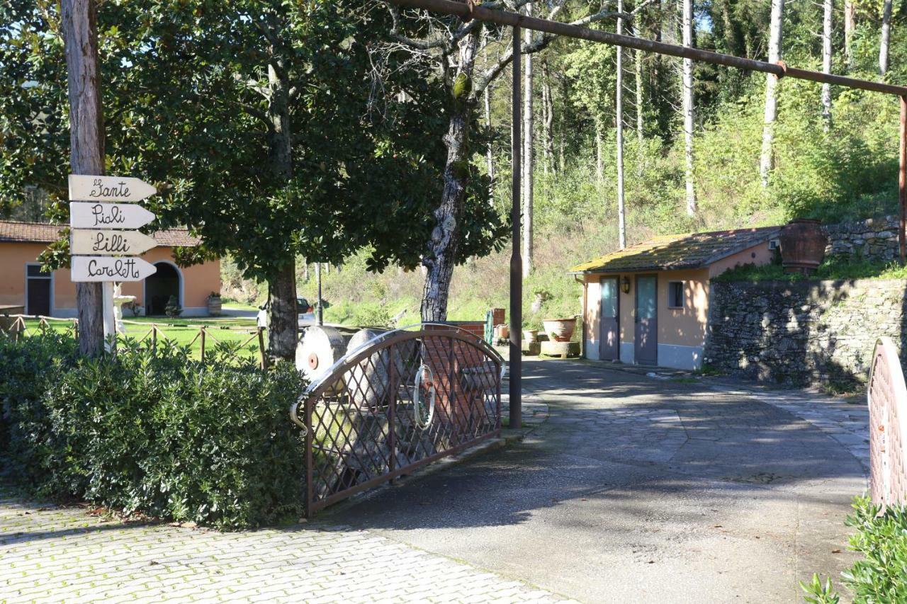 Molino Del Rotone Country house Buti